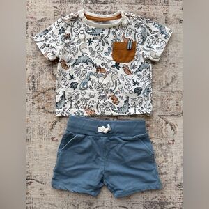 Dino t-shirt and shorts set